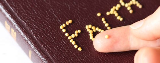 Faith Mustard Seed